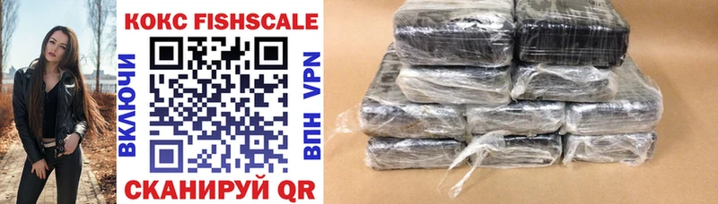 Cocaine Fish Scale  хочу наркоту  Фролово 