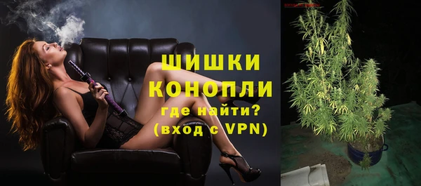 ПСИЛОЦИБИНОВЫЕ ГРИБЫ Пересвет