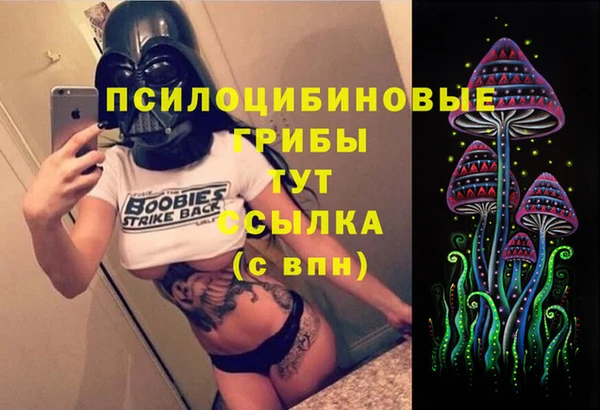 ПСИЛОЦИБИНОВЫЕ ГРИБЫ Пересвет
