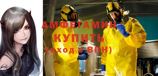 дурь Бородино