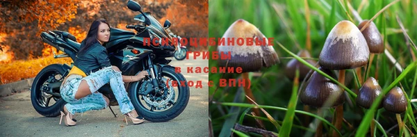 сатива Пестово