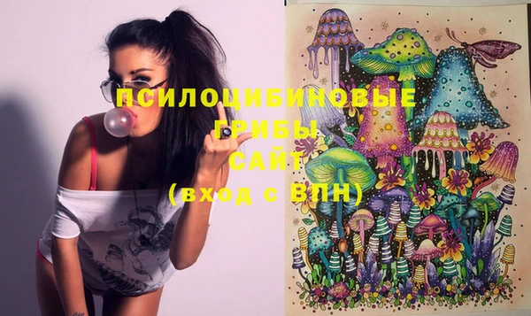 ПСИЛОЦИБИНОВЫЕ ГРИБЫ Пересвет
