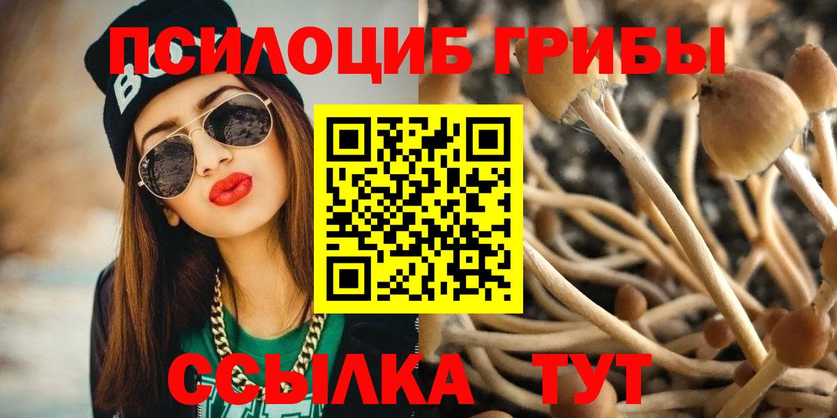 Псилоцибиновые грибы MAGIC MUSHROOMS Фролово