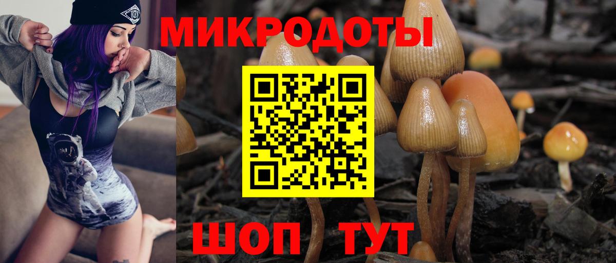 Псилоцибиновые грибы ЛСД Фролово