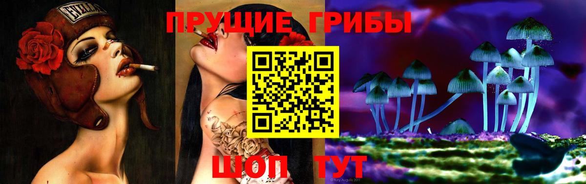 Псилоцибиновые грибы GOLDEN TEACHER  Фролово 